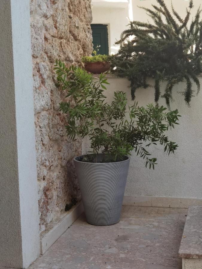 Manda Gradac Lägenhet Gradac  Exteriör bild